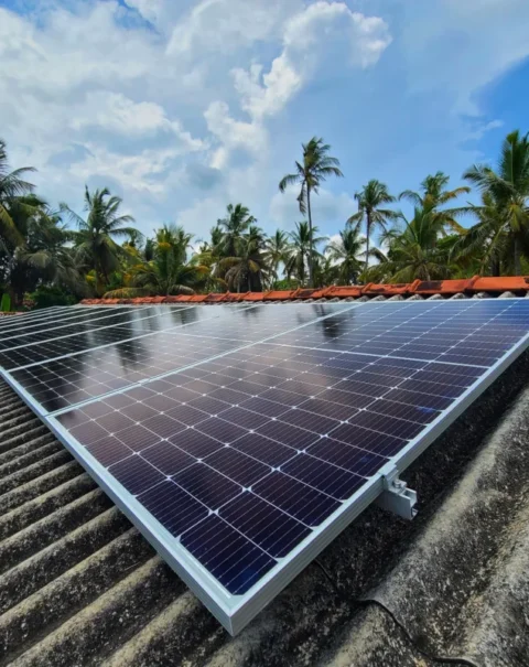 20230428_141414-01-800x800 (1)